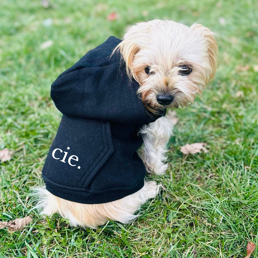 Customizable Pet Name Hoodies