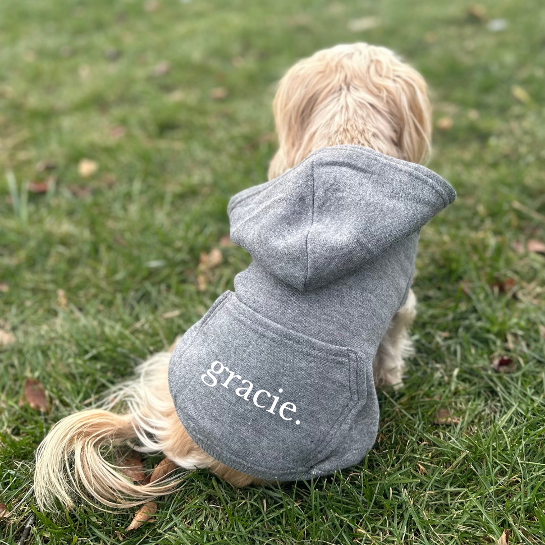 Customizable Pet Name Hoodies - CC