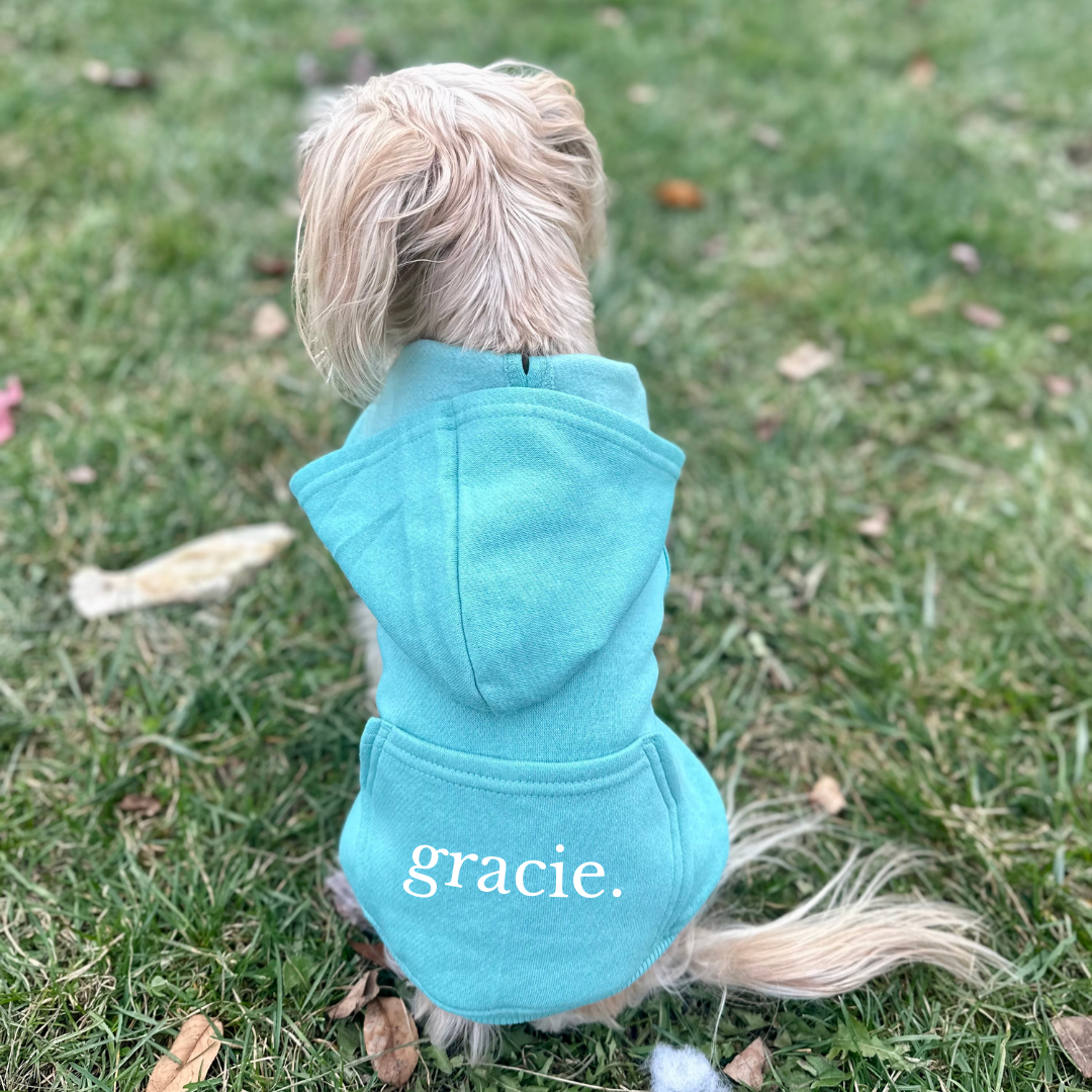 Customizable Pet Name Hoodies - CC