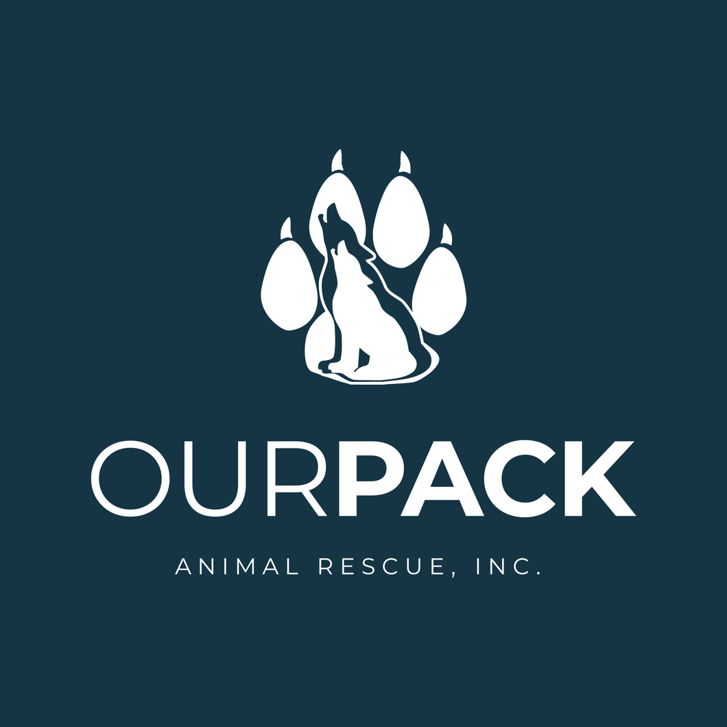 Donate to Our Pack Animal Rescue