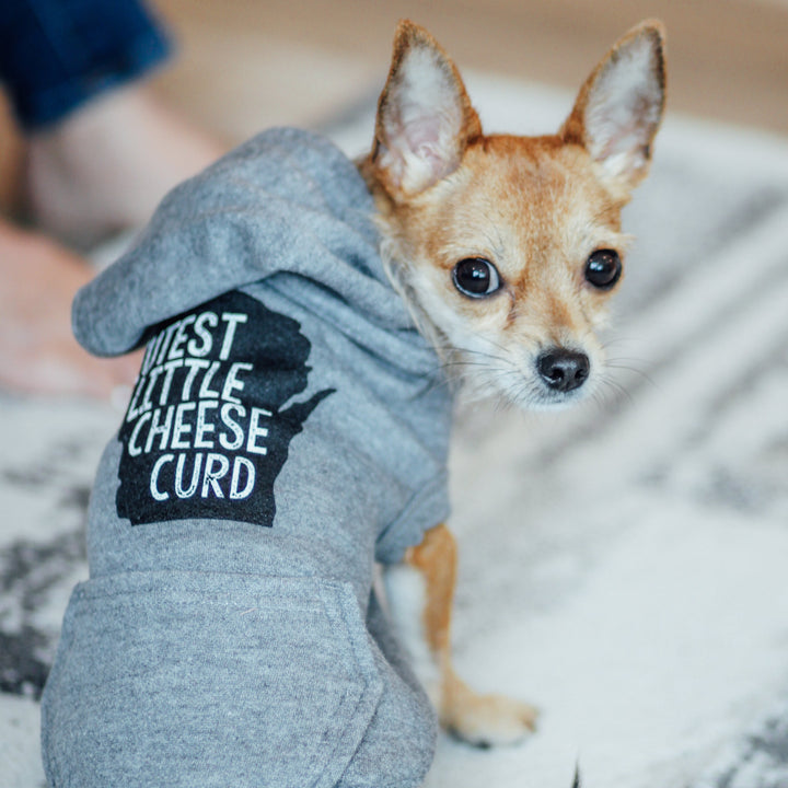 Cutest Little Cheese Curd Pet Hoodie