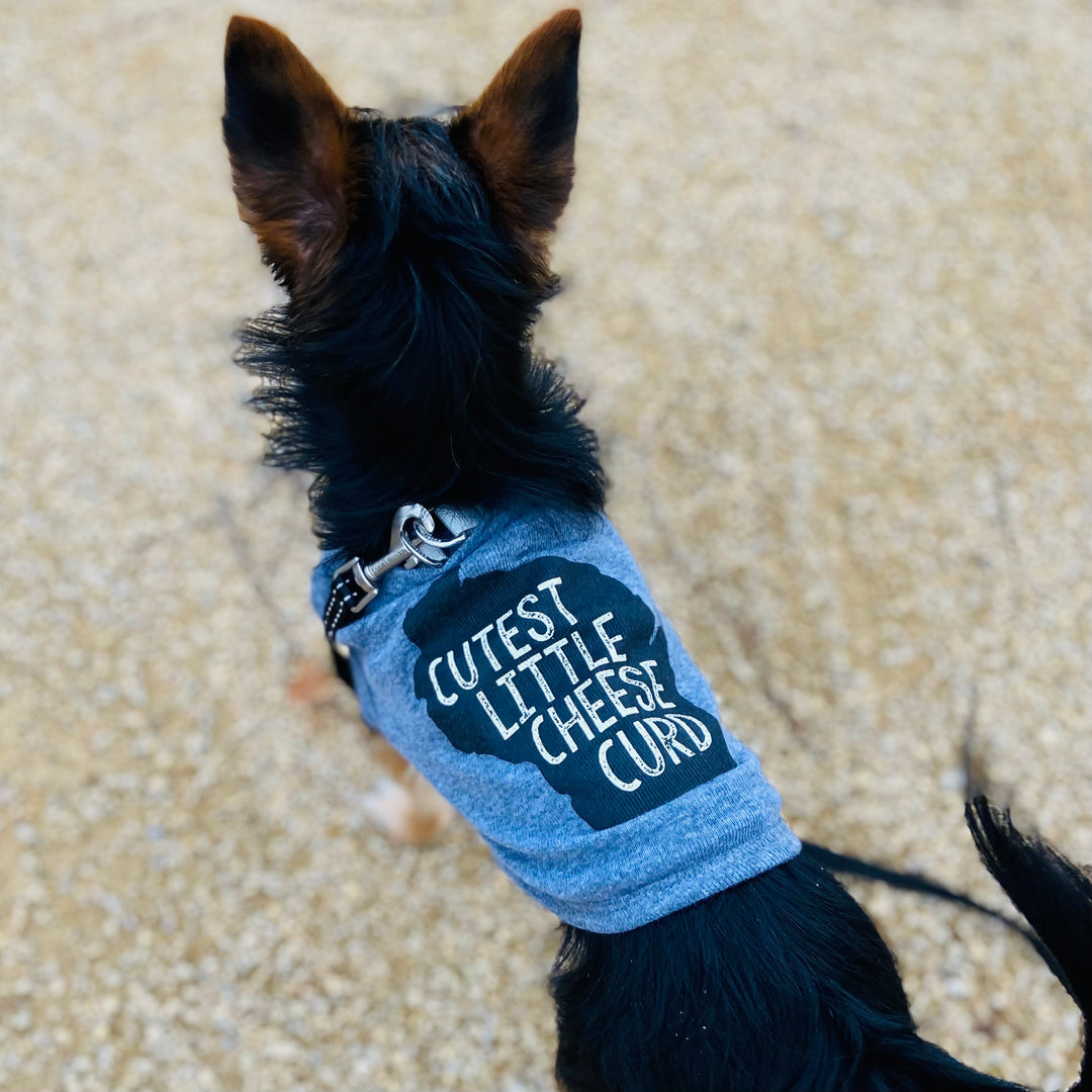 Cutest Little Cheese Curd - Pet Tank